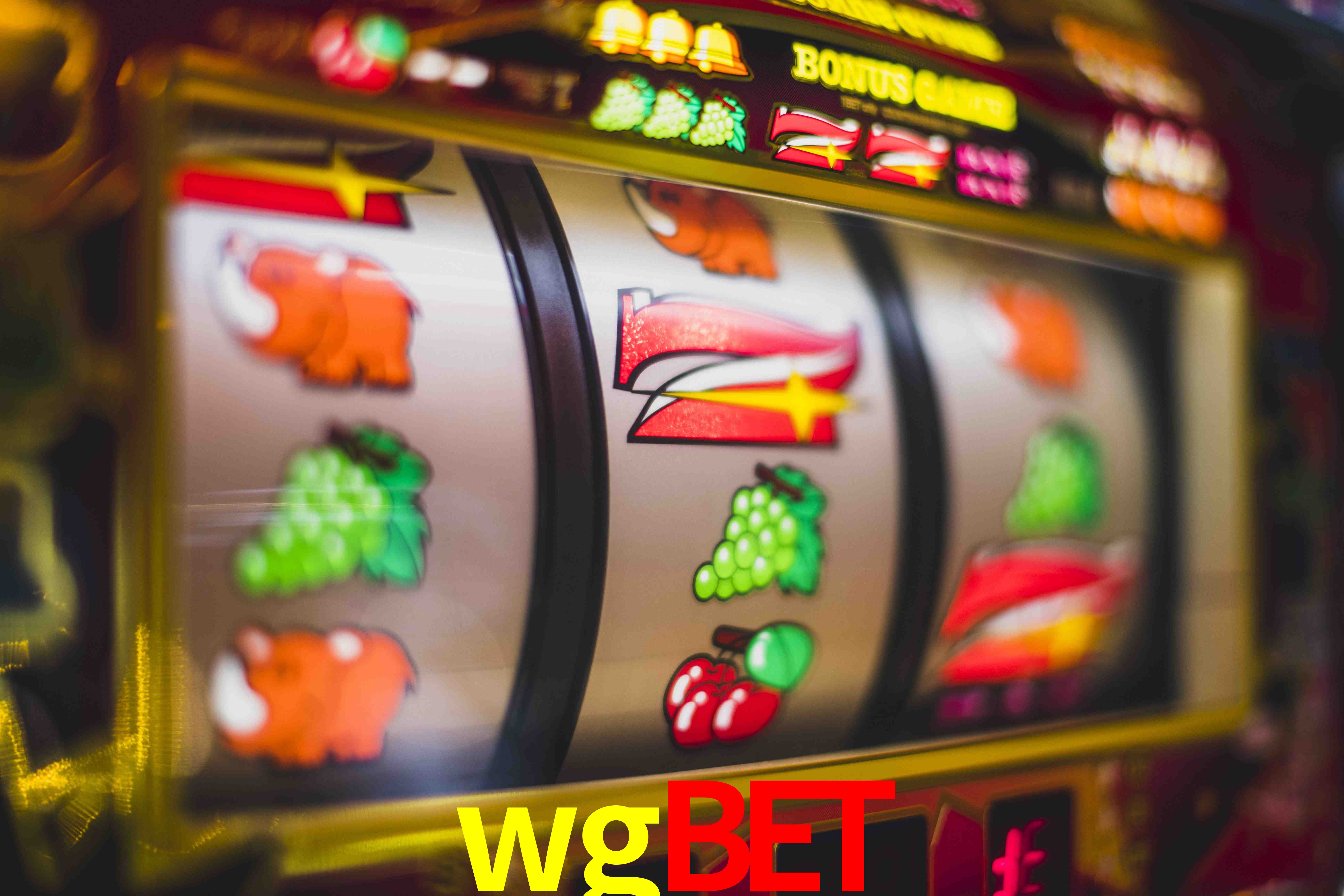 Crash Games Statistics wgbet